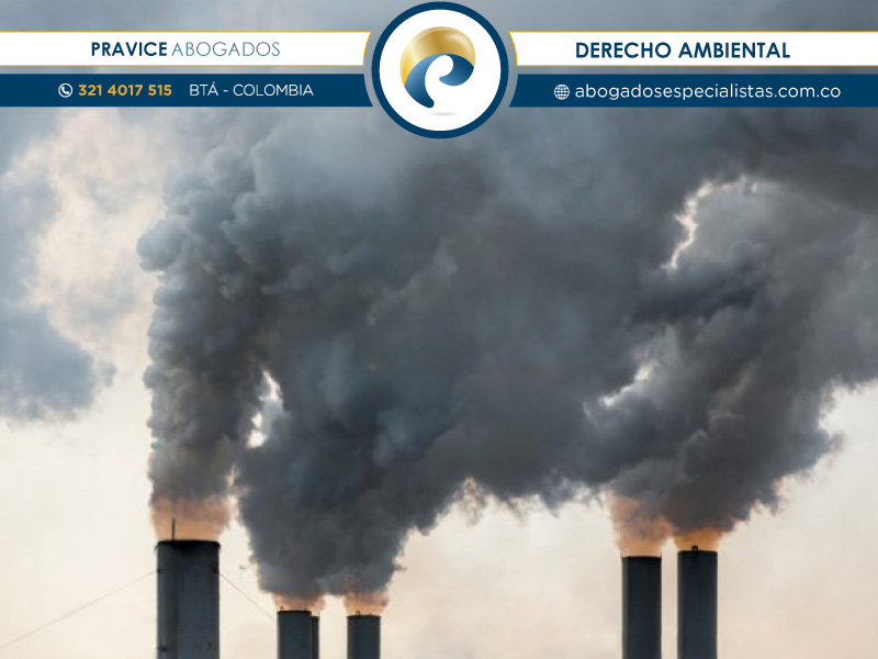 Representación con Abogados Administrativos